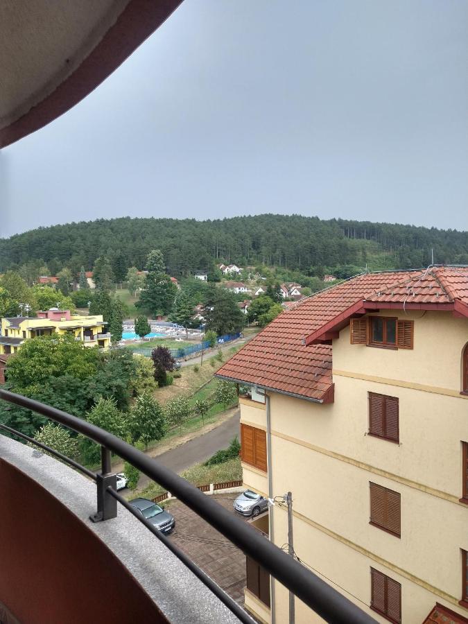 Apartman Ninic Vrnjačka Banja Esterno foto